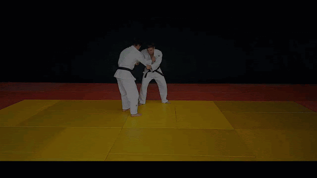 jiu-jitsu brasileiro